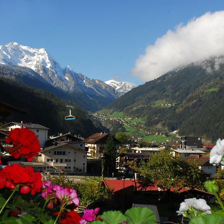 Haus Tasser Mayrhofen Eksteriør bilde